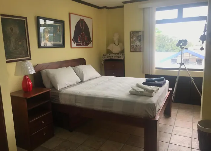 Sofia Apartments In Escalante, San Jose Center